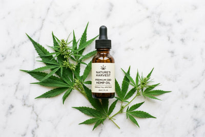 CBD for Scalp and Hair Health: Natural Hemp Care for a Balanced, Nourished Scalp
