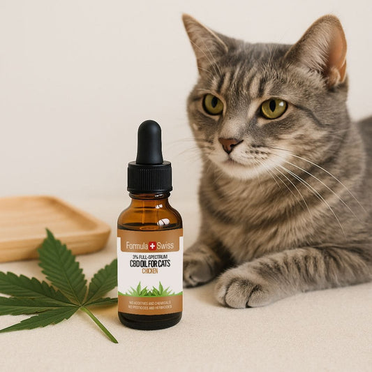 CBD Oil in MCT Oil with Chicken Aroma for Cats